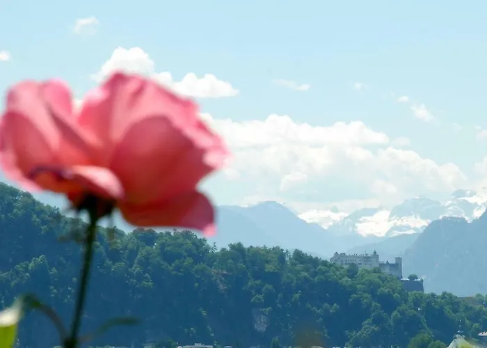 Haus Salzburgblick Bed & Breakfast